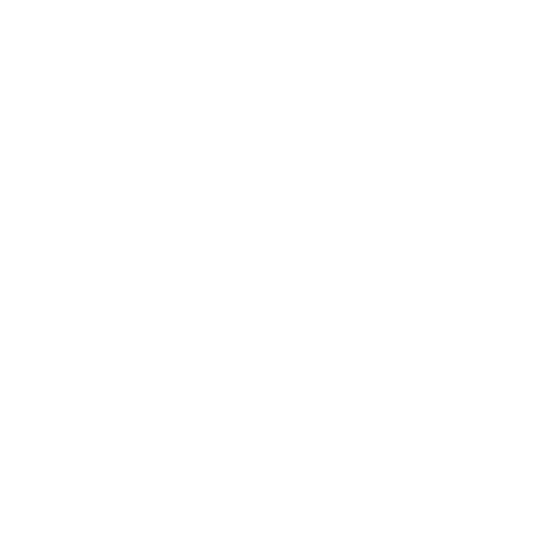 bd invest