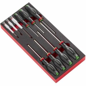 Module mousse 10 tournevis Protwist Torx - FACOM FRANCE | MODM.AT6PB